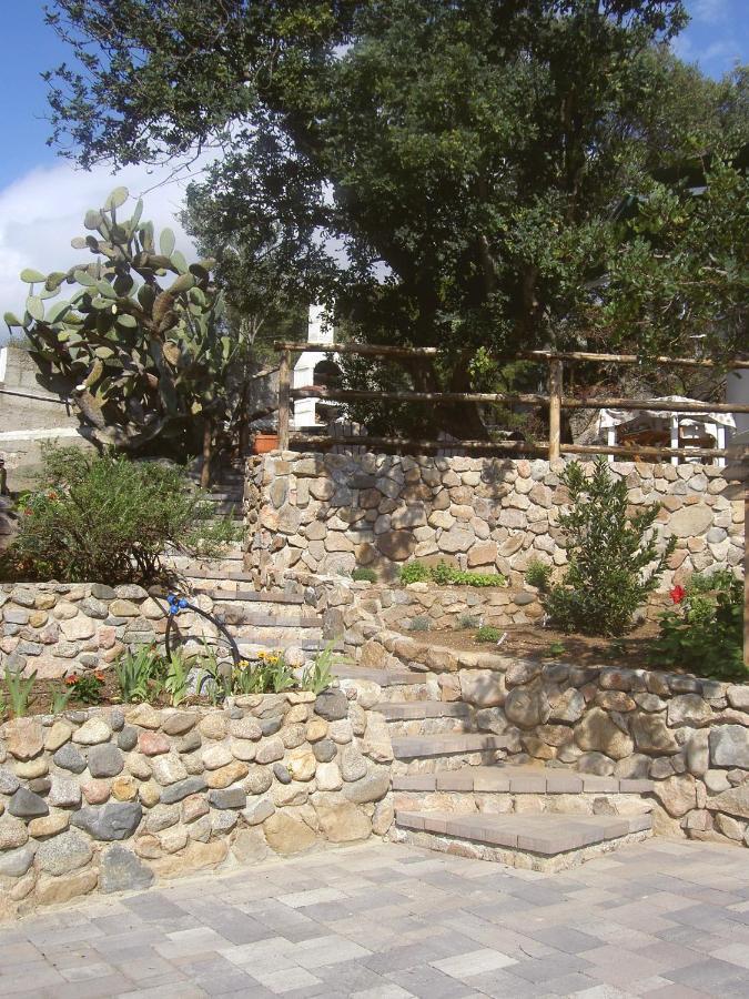 Ulivo Daire Quartu SantʼElena Dış mekan fotoğraf