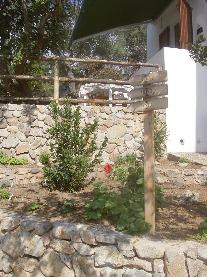 Ulivo Daire Quartu SantʼElena Dış mekan fotoğraf