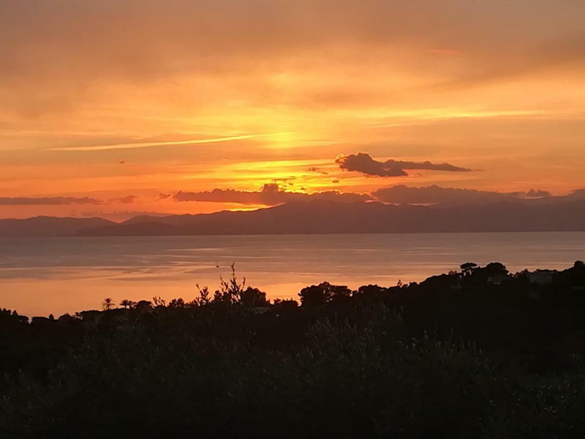 Ulivo Daire Quartu SantʼElena Dış mekan fotoğraf