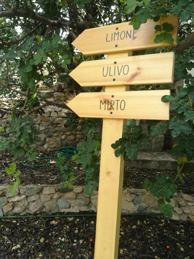 Ulivo Daire Quartu SantʼElena Dış mekan fotoğraf