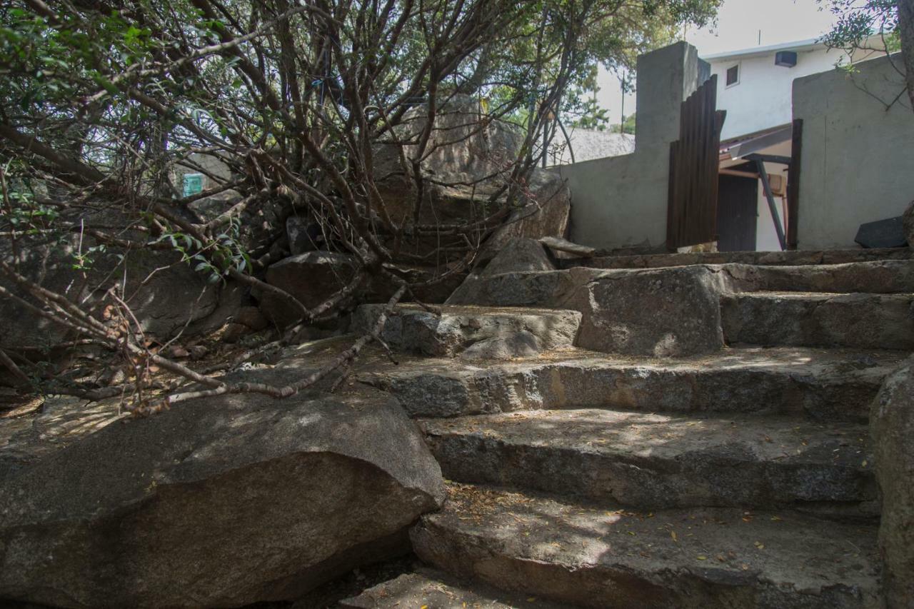 Ulivo Daire Quartu SantʼElena Dış mekan fotoğraf